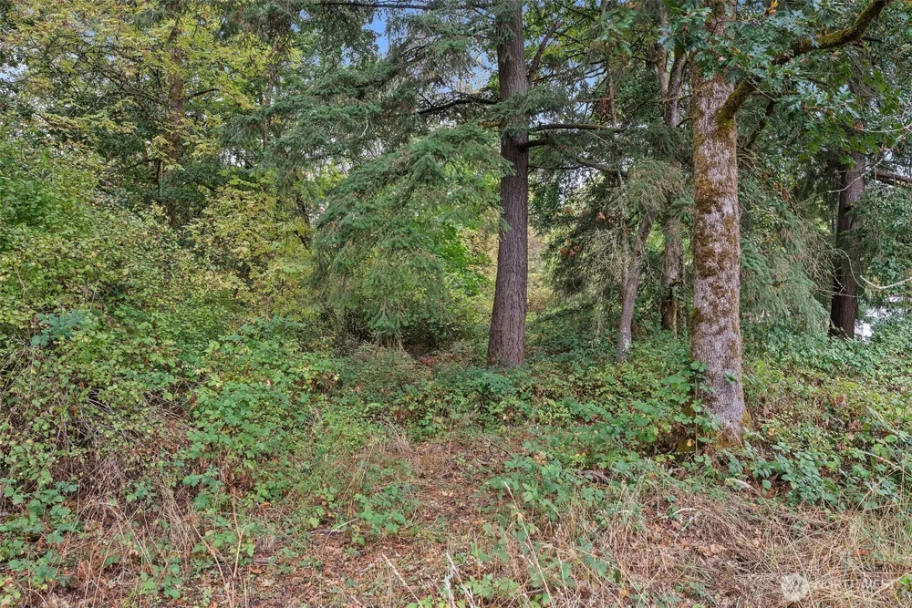 6511 203rd Avenue SW Centralia, WA 98531