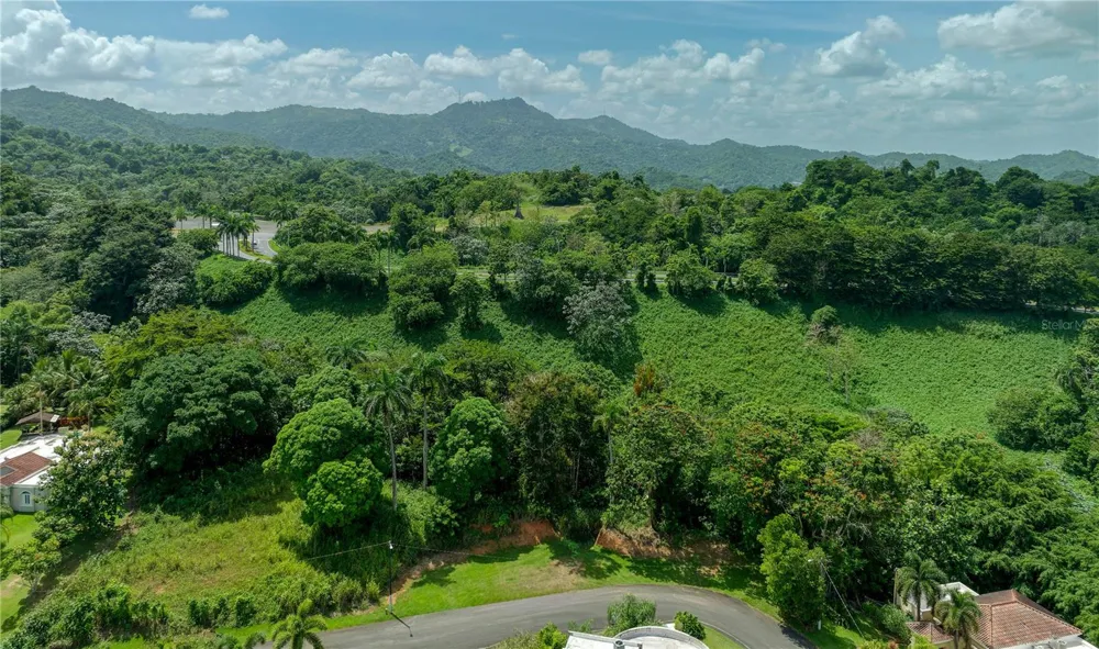 C42-43 VALLE ESCONDIDO Guaynabo, PR 00971