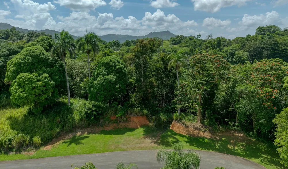 C42-43 VALLE ESCONDIDO Guaynabo, PR 00971
