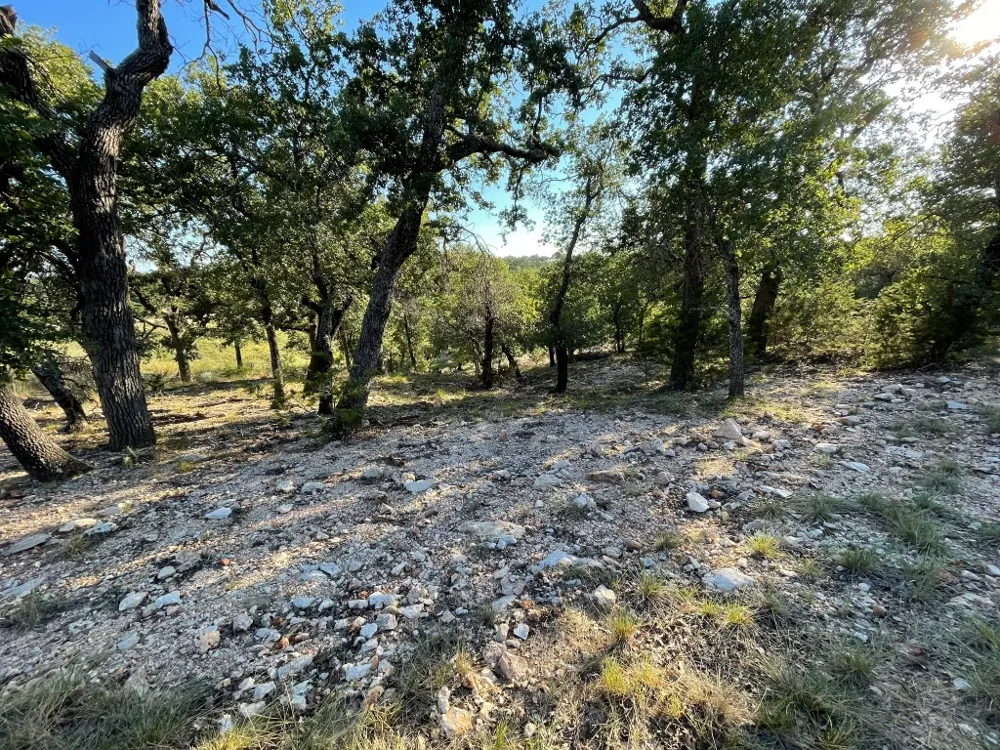 Address Not Shown San Saba, TX 76877