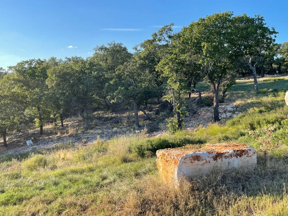 Address Not Shown San Saba, TX 76877