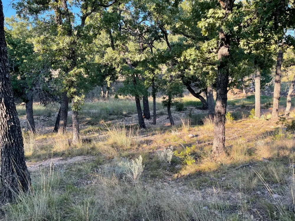 Address Not Shown San Saba, TX 76877