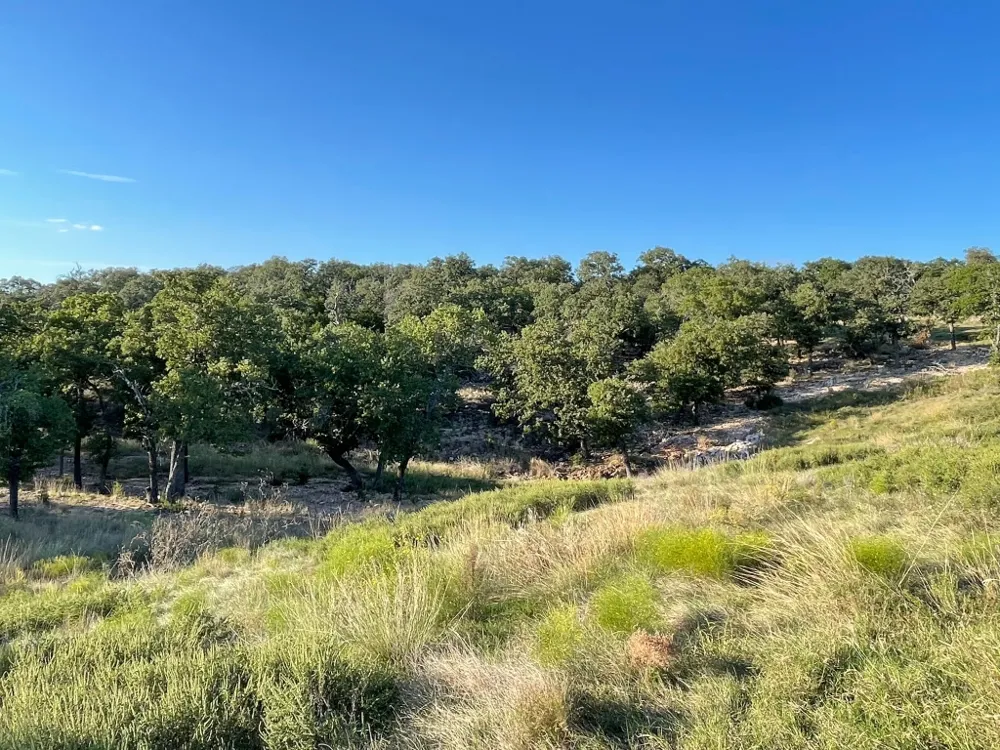 Address Not Shown San Saba, TX 76877