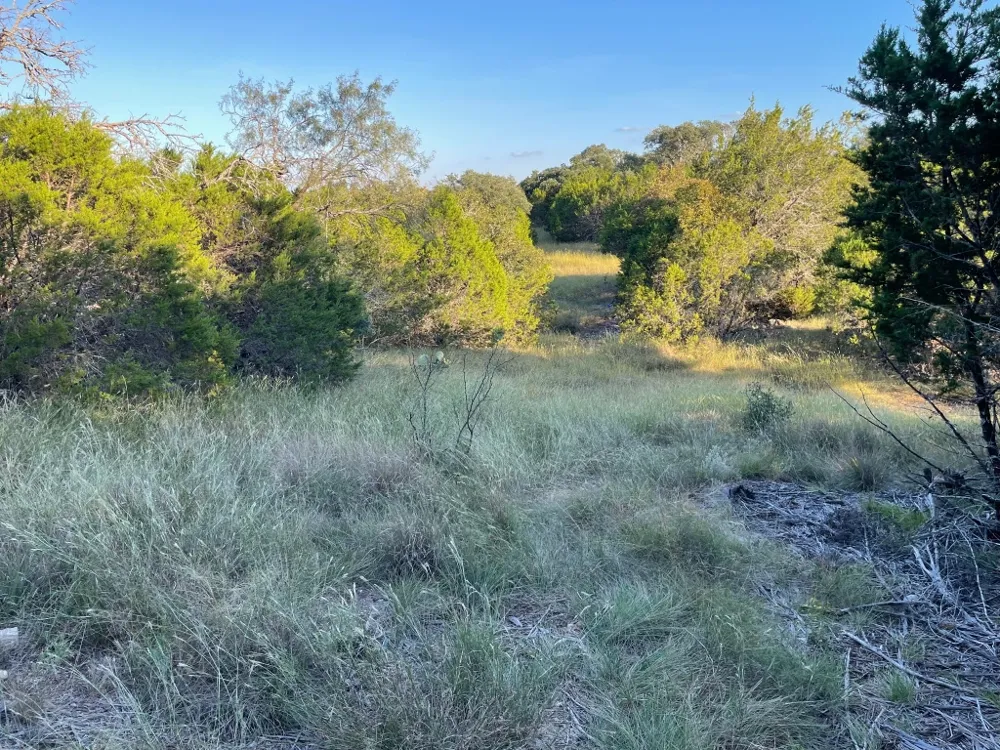 Address Not Shown San Saba, TX 76877