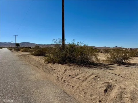 28032 Rodeo