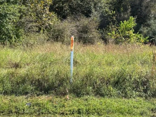 12903 Highway 59 Beasley, TX 77417