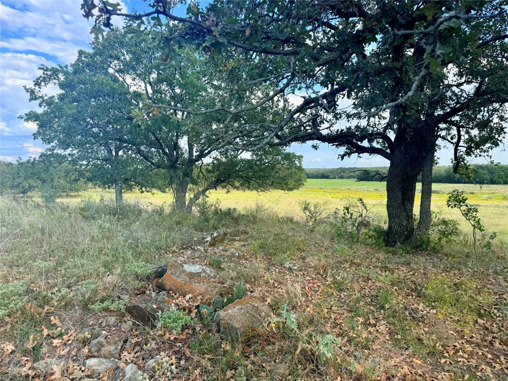 2101 Erwin Road Jacksboro, TX 76458