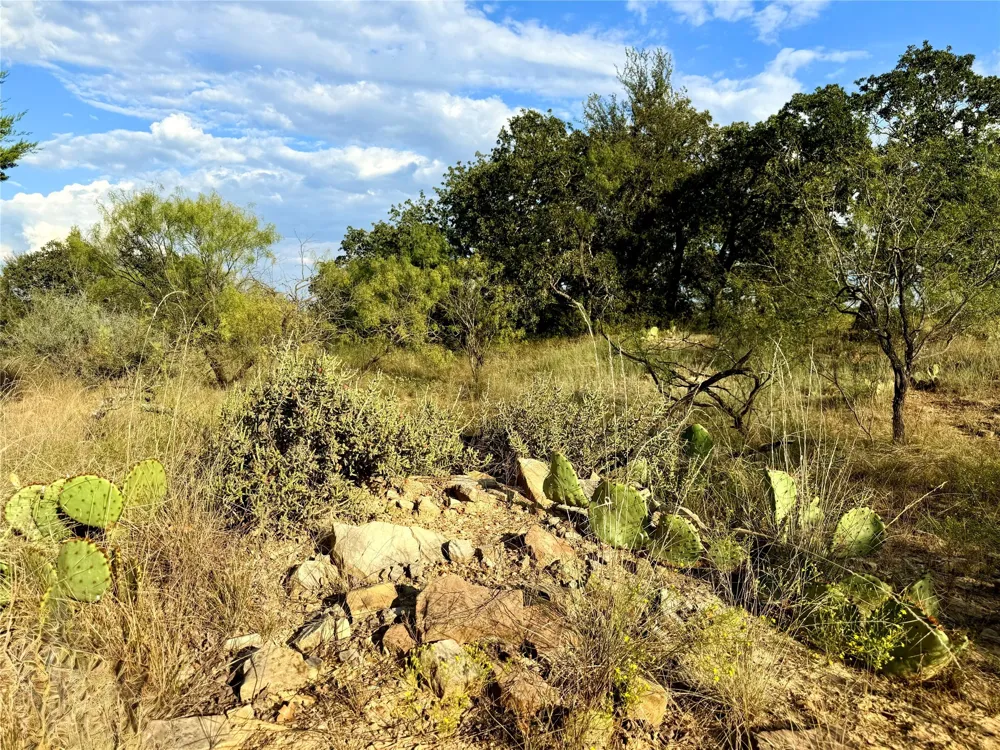 2101 Erwin Road Jacksboro, TX 76458