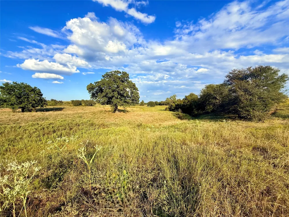 2101 Erwin Road Jacksboro, TX 76458
