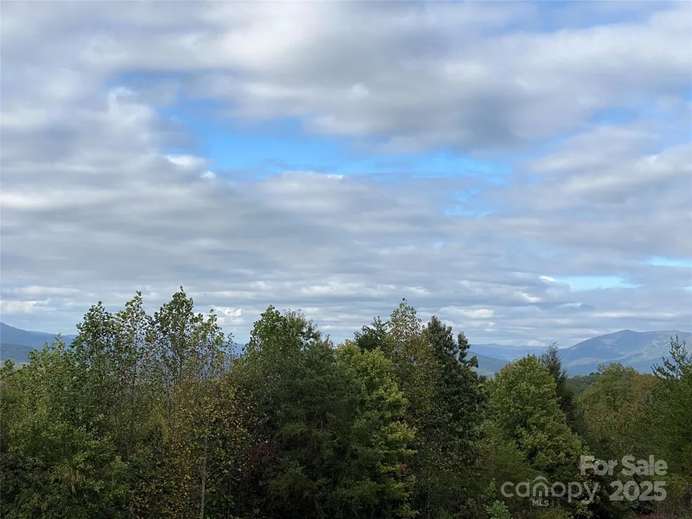 860 Redwood Drive Marion, NC 28752