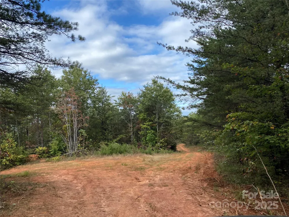 860 Redwood Drive Marion, NC 28752