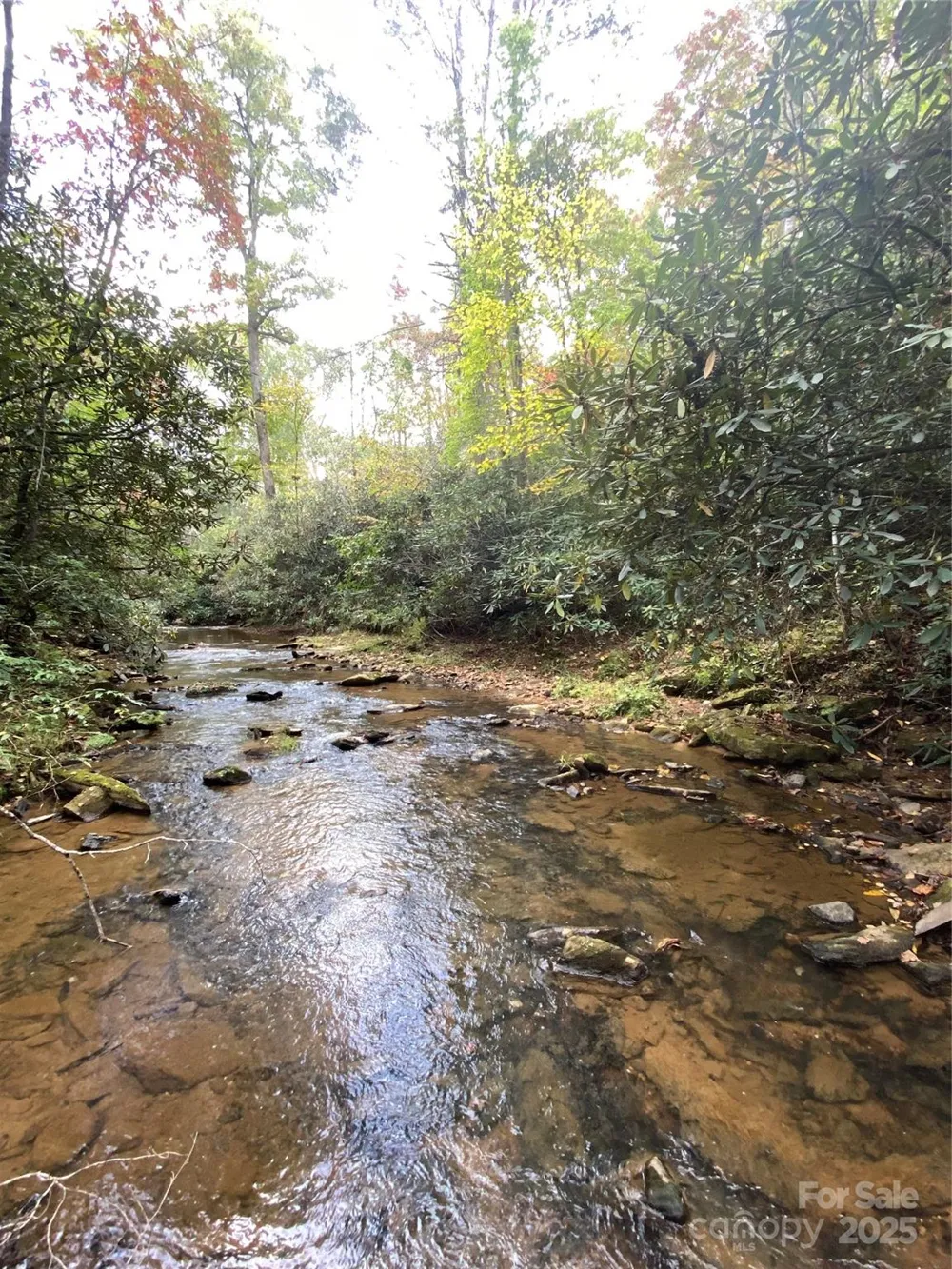 860 Redwood Drive Marion, NC 28752