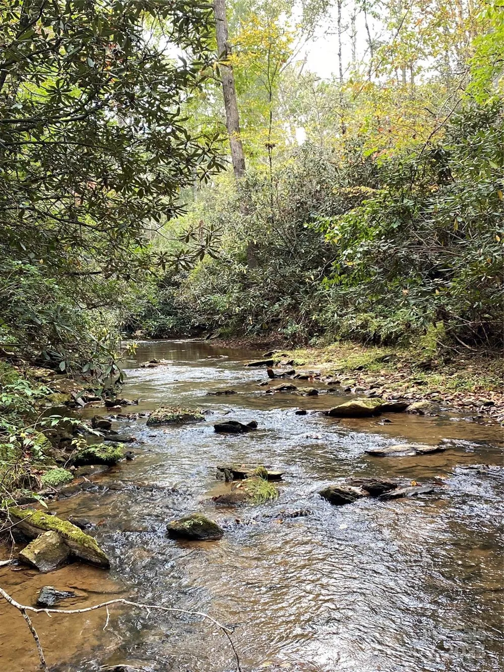 860 Redwood Drive Marion, NC 28752