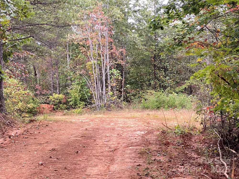 860 Redwood Drive Marion, NC 28752