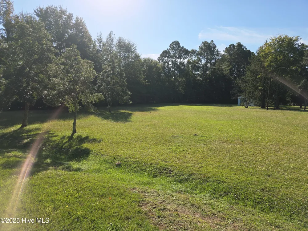 205 Bruce Street Fair Bluff, NC 28439