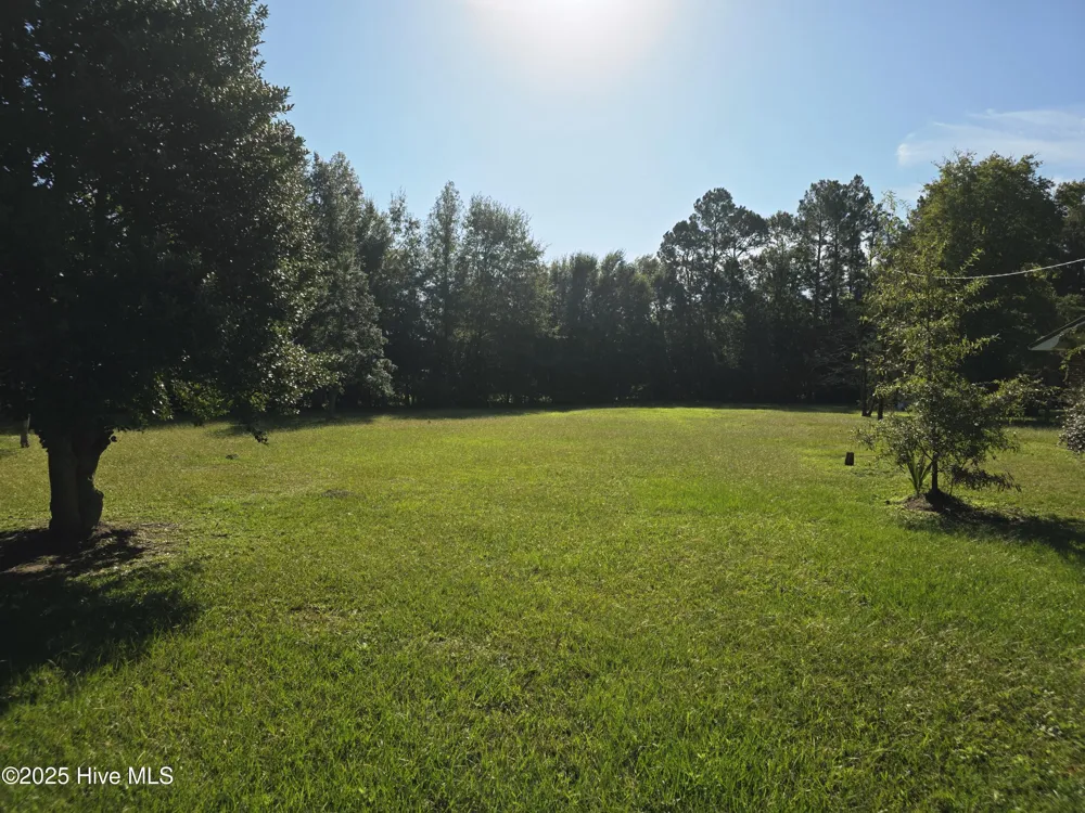 205 Bruce Street Fair Bluff, NC 28439