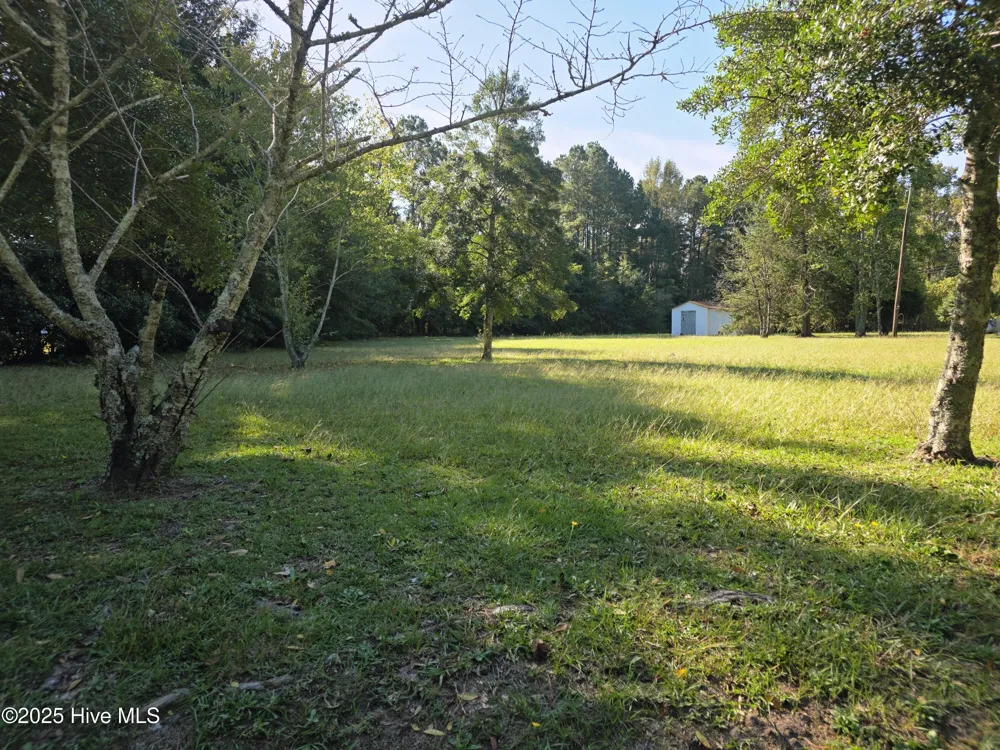 205 Bruce Street Fair Bluff, NC 28439