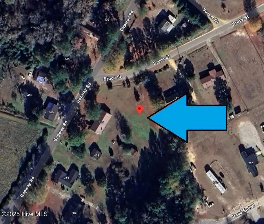 205 Bruce Street Fair Bluff, NC 28439