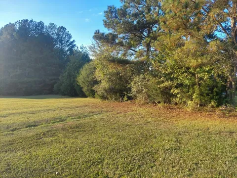 Clary Cut Road