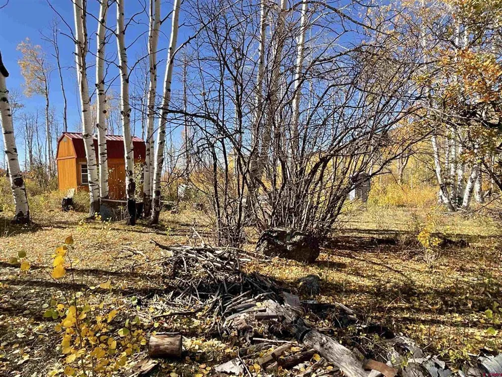 20261 3100 ROAD Hotchkiss, CO 81419
