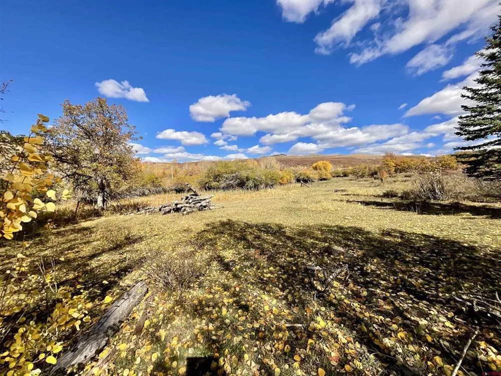 20261 3100 ROAD Hotchkiss, CO 81419