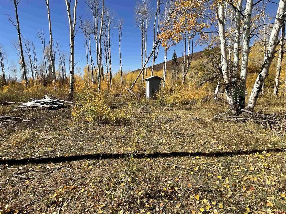 20261 3100 ROAD Hotchkiss, CO 81419