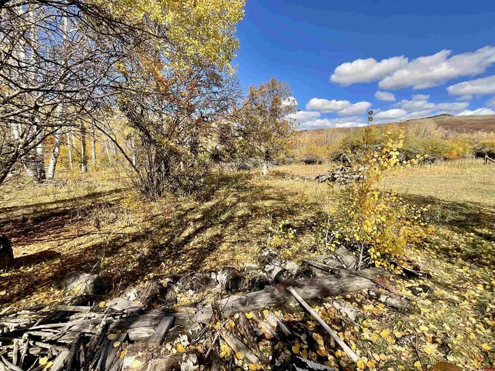 20261 3100 ROAD Hotchkiss, CO 81419
