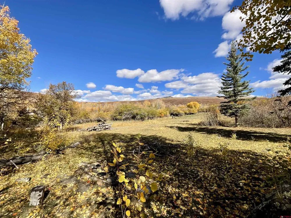 20261 3100 ROAD Hotchkiss, CO 81419