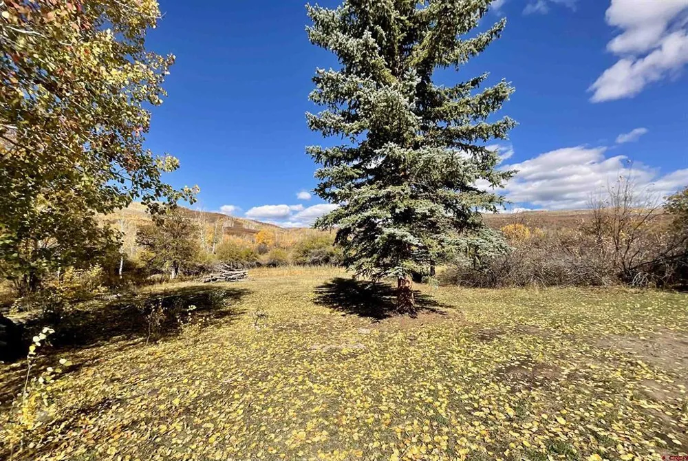 20261 3100 ROAD Hotchkiss, CO 81419