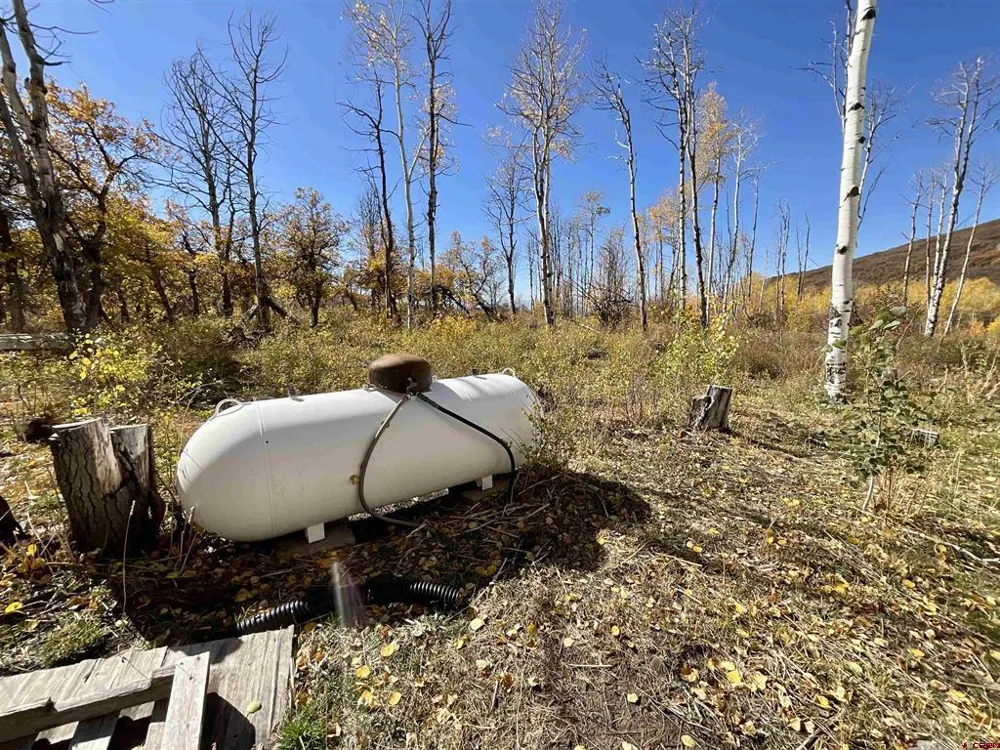 20261 3100 ROAD Hotchkiss, CO 81419