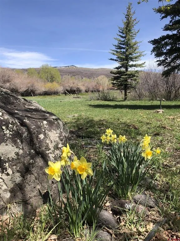 20261 3100 ROAD Hotchkiss, CO 81419