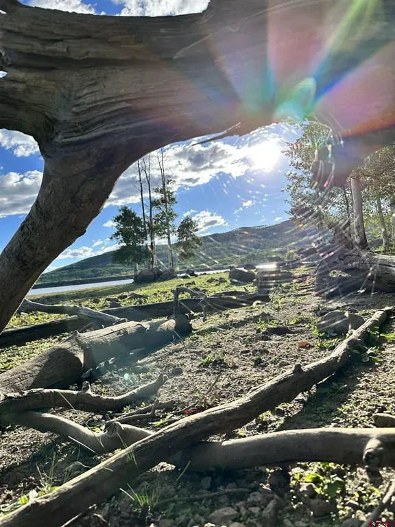 20261 3100 ROAD Hotchkiss, CO 81419