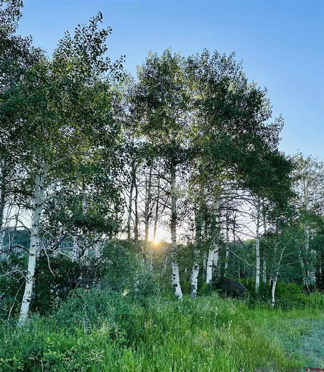 20261 3100 ROAD Hotchkiss, CO 81419