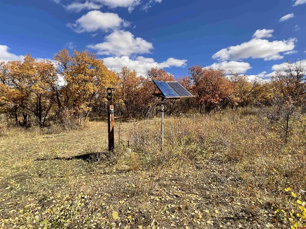 20261 3100 ROAD Hotchkiss, CO 81419