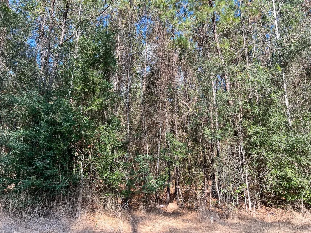 1 Laird Road Kountze, TX 77625