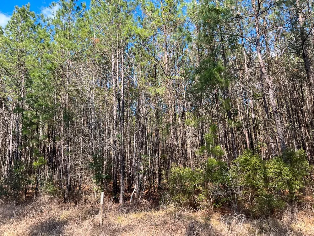 1 Laird Road Kountze, TX 77625