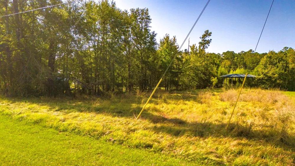 1518 Yaupon Cove Drive Onalaska, TX 77360