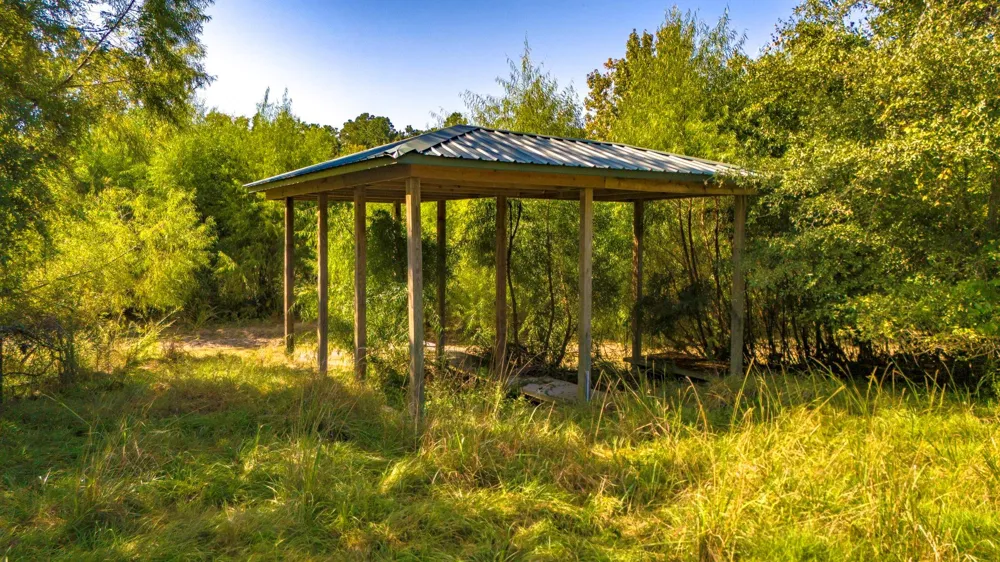 1518 Yaupon Cove Drive Onalaska, TX 77360