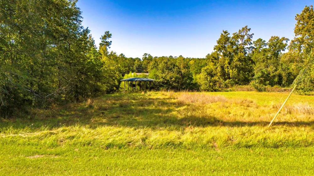 1518 Yaupon Cove Drive Onalaska, TX 77360