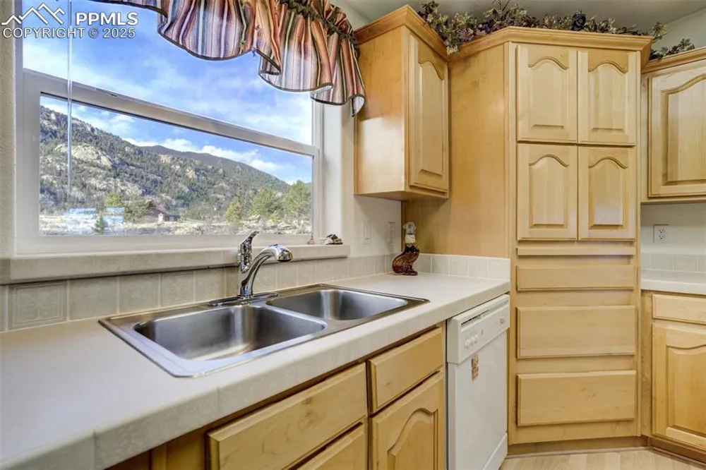 688 Tiara Drive Lake George, CO 80827