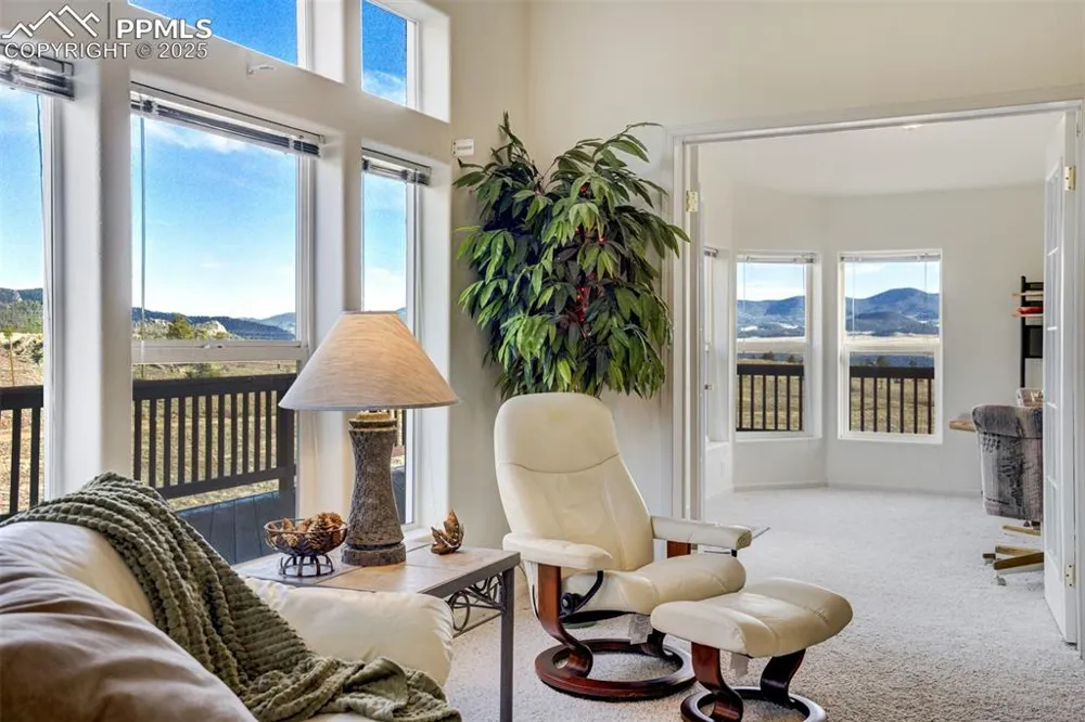 688 Tiara Drive Lake George, CO 80827