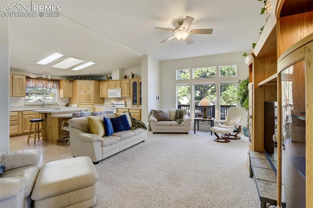 688 Tiara Drive Lake George, CO 80827
