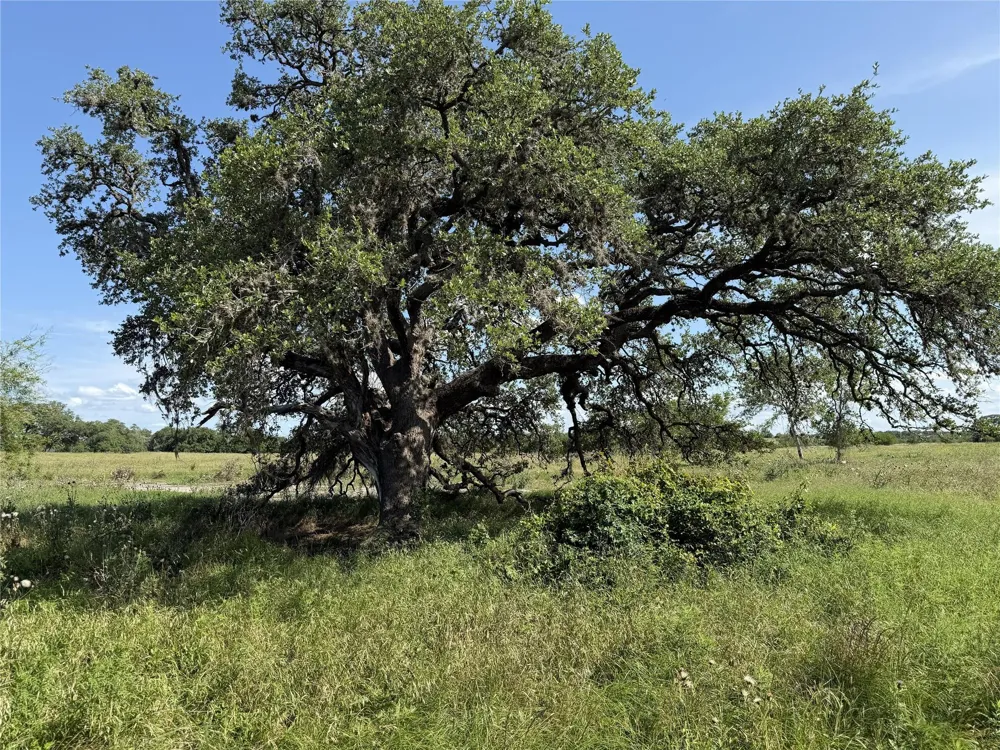 3 Farm To Market Road 532 Weimar, TX 78962