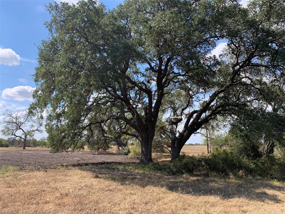 3 Farm To Market Road 532 Weimar, TX 78962