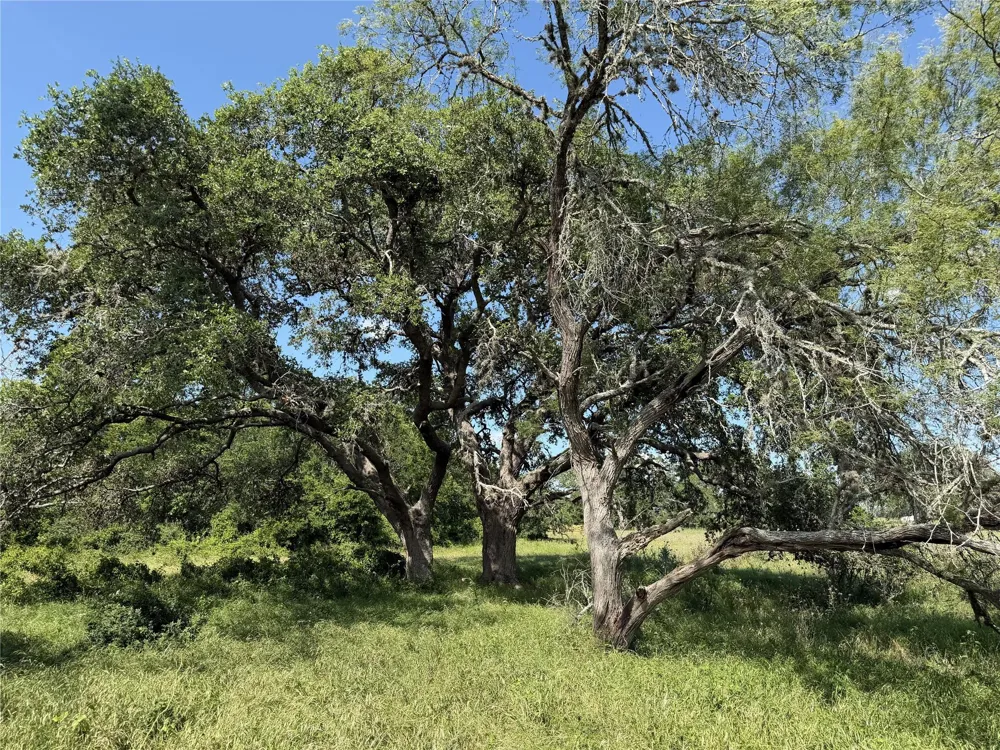 3 Farm To Market Road 532 Weimar, TX 78962