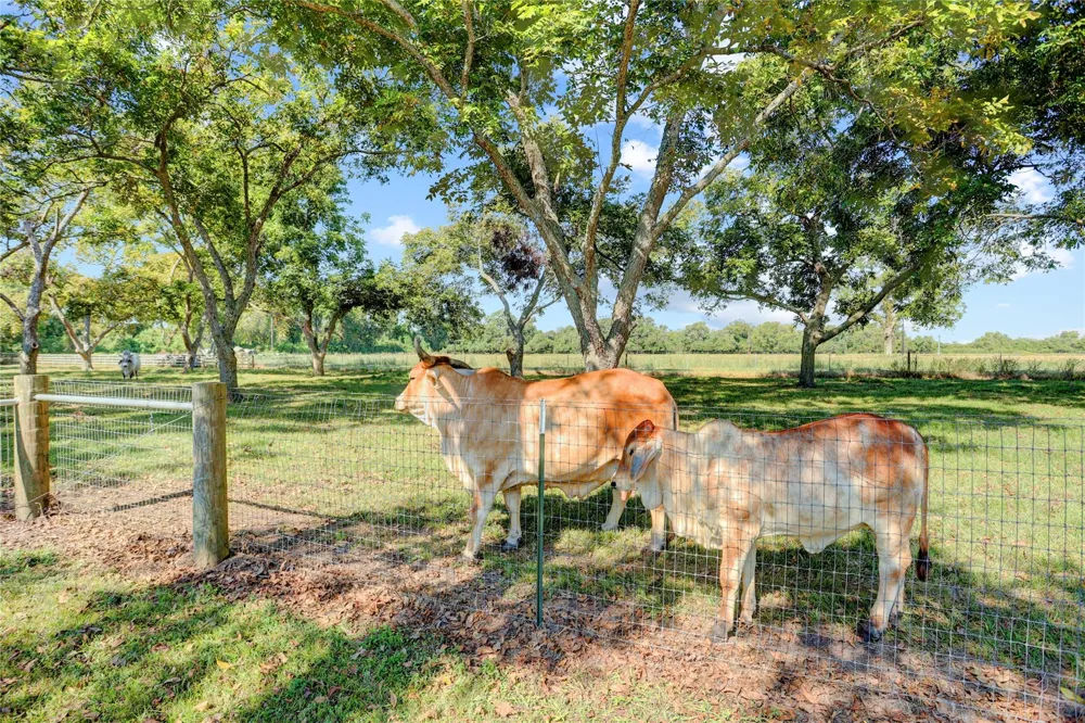 11935 County Road 160 Boling, TX 77420