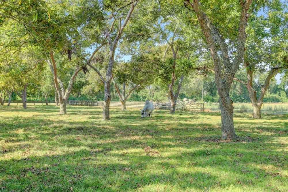 11935 County Road 160 Boling, TX 77420
