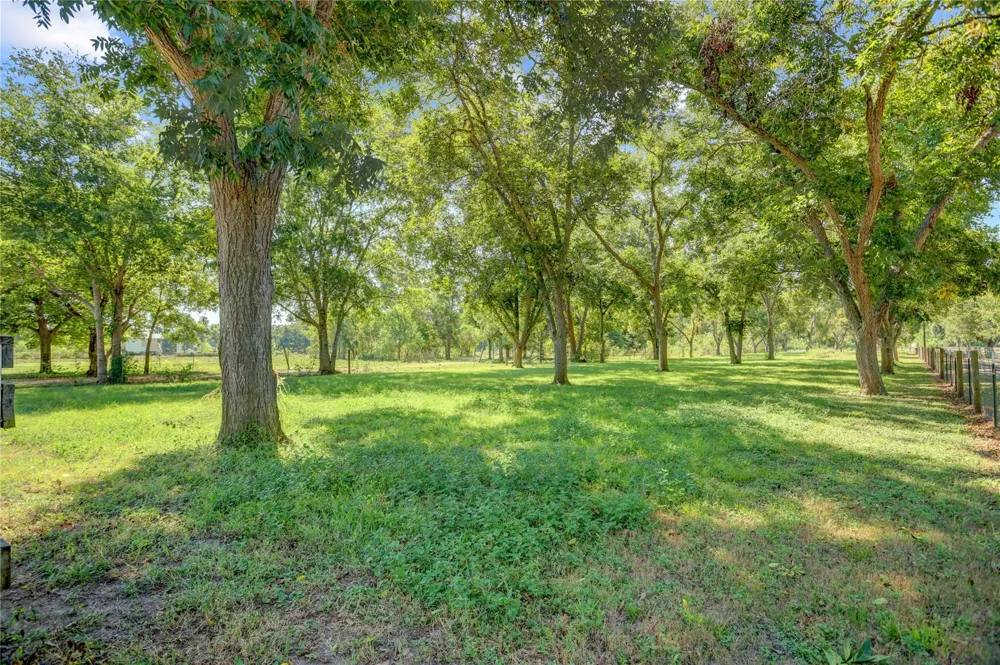 11935 County Road 160 Boling, TX 77420
