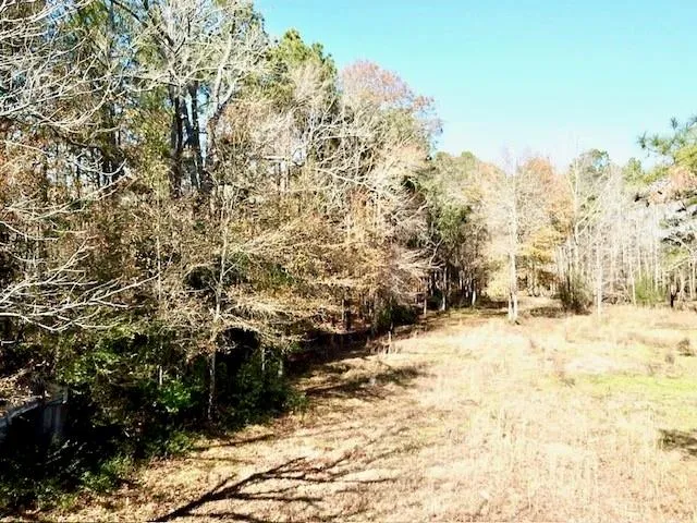 Cr 2222 Cobb Mill Road Woodville, TX 75979