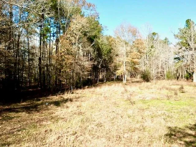 Cr 2222 Cobb Mill Road Woodville, TX 75979